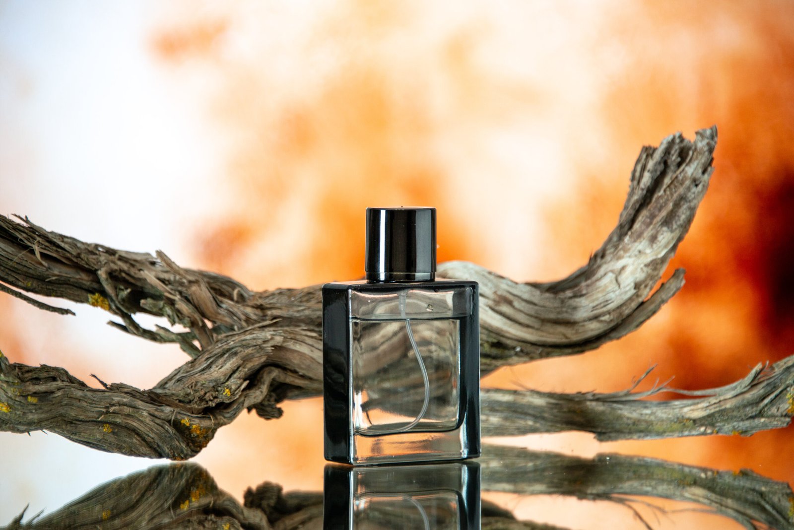 “Amazing affordable long-lasting perfumes for men in 2025 – stylish perfume bottle on dark background
